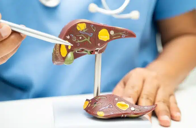 Descoperire recentă: Legătura dintre ficat, alcool şi microbiom